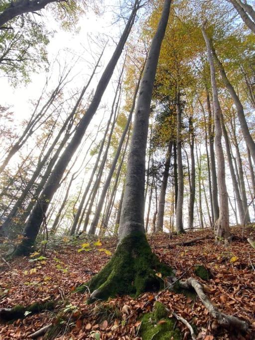 Casa Natur Pur, 85M2 Mit Garten Sauna Fischbachau Zewnętrze zdjęcie