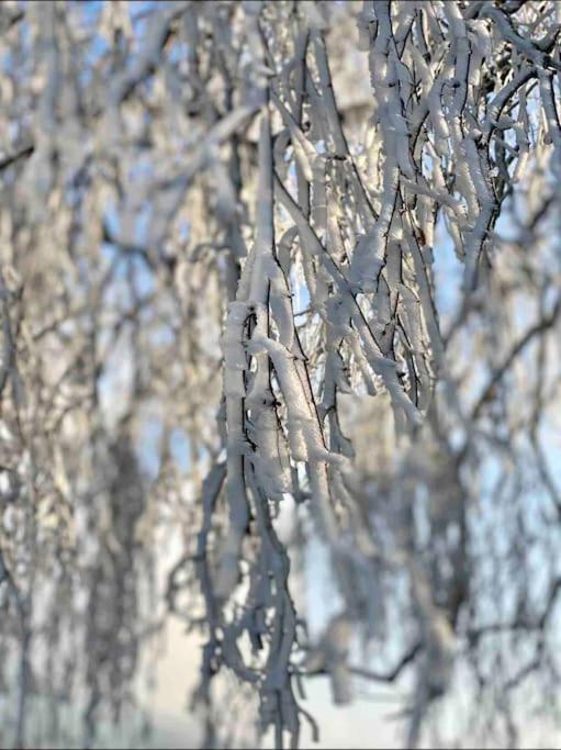 Casa Natur Pur, 85M2 Mit Garten Sauna Fischbachau Zewnętrze zdjęcie
