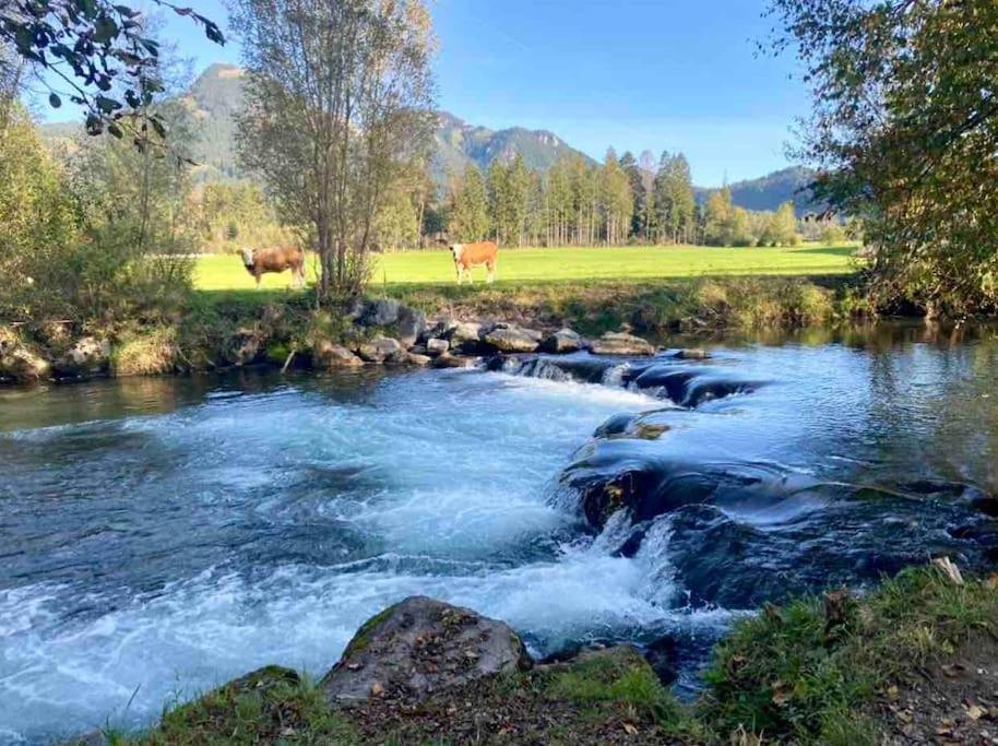 Casa Natur Pur, 85M2 Mit Garten Sauna Fischbachau Zewnętrze zdjęcie