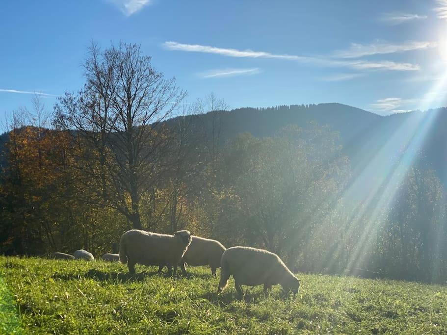 Casa Natur Pur, 85M2 Mit Garten Sauna Fischbachau Zewnętrze zdjęcie