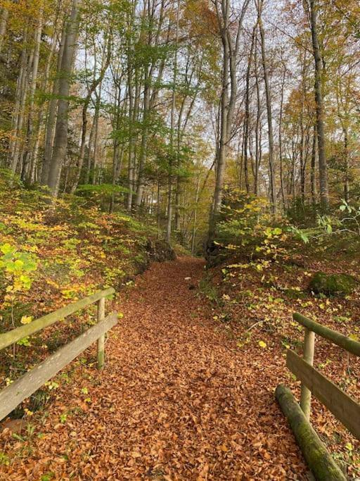 Casa Natur Pur, 85M2 Mit Garten Sauna Fischbachau Zewnętrze zdjęcie