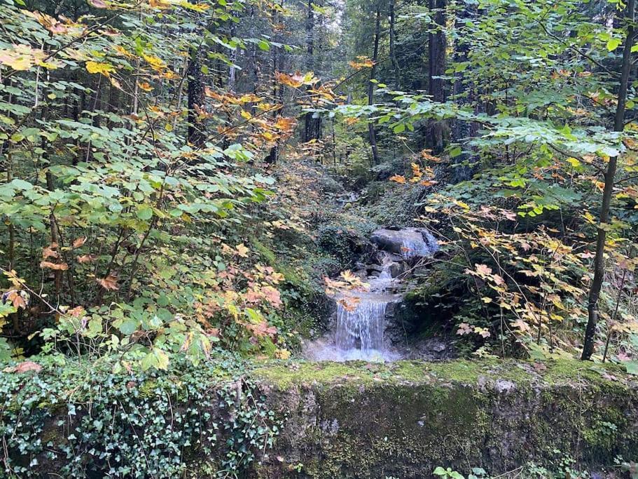 Casa Natur Pur, 85M2 Mit Garten Sauna Fischbachau Zewnętrze zdjęcie